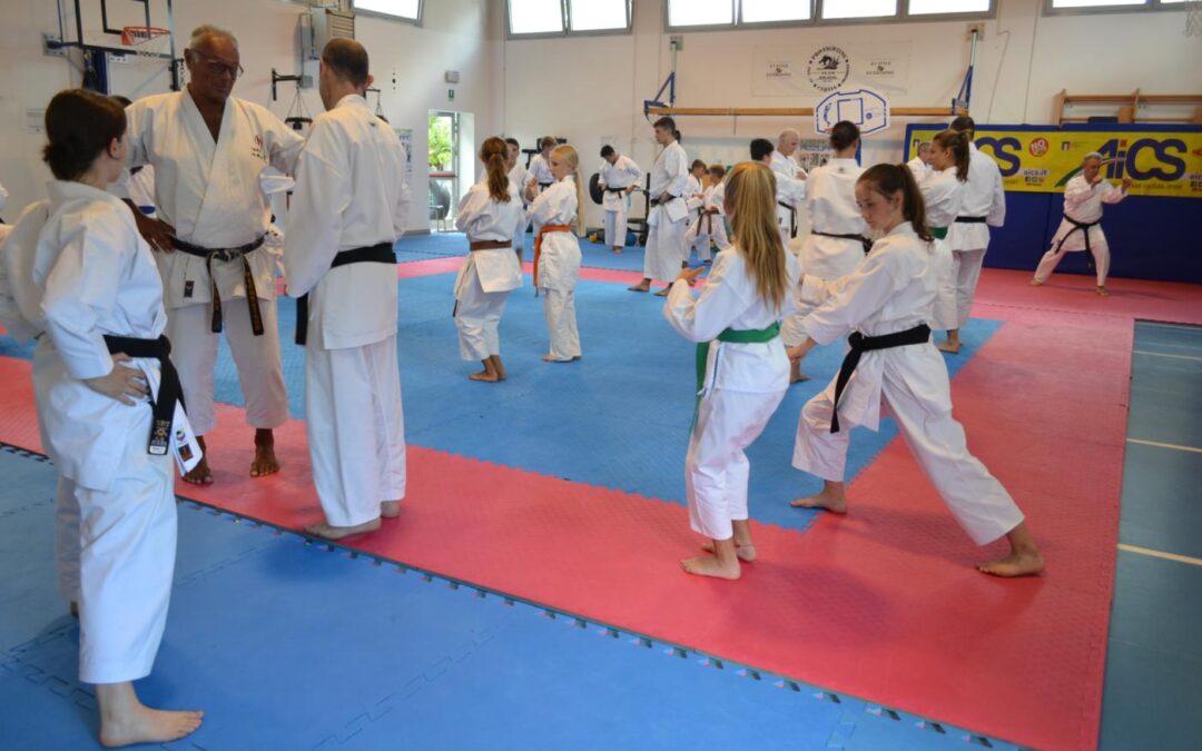 A VerdeAzzurro, anche lo stage di karate inclusivo!