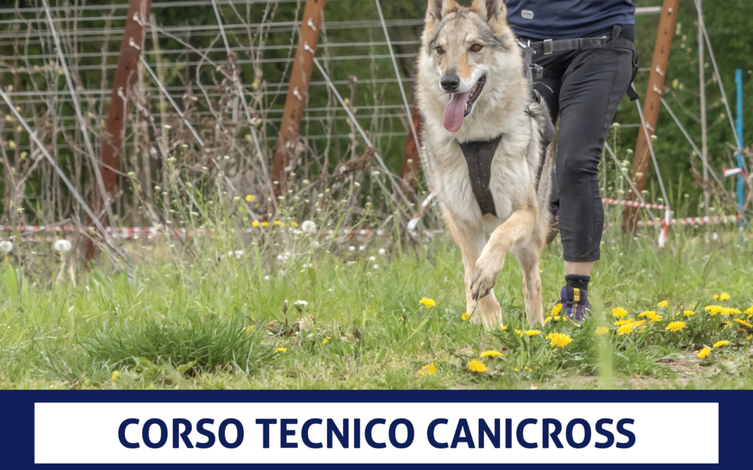 Cinofilia, corso per tecnico AiCS Canicross Trail