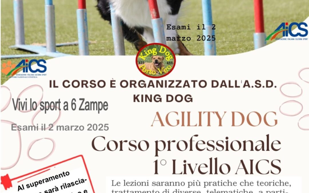 Cinofilia, corso per tecnico di Agility dog di 1° livello