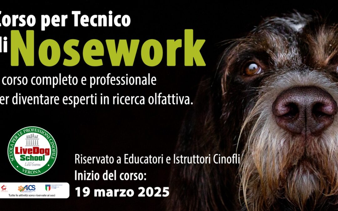 Cinofilia, corso per tecnico di Nosework